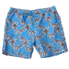 Mens Printing Board Shorts